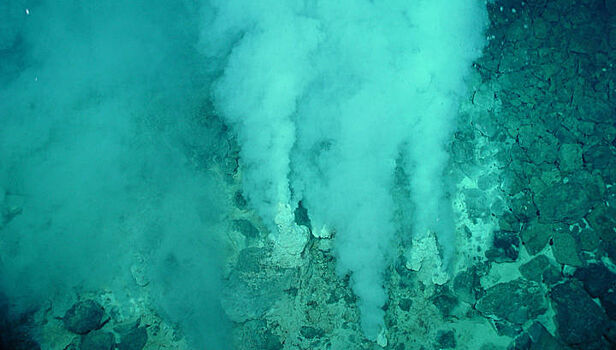 Микробы подводных вулканических хребтов пролили свет на эволюцию дыхания