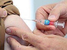 Почему в травмпунктах дефицит вакцины от бешенства