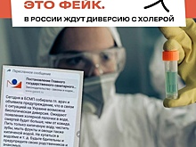 Власти Курского района опровергли слухи о диверсии с холерой