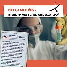 Власти Курского района опровергли слухи о диверсии с холерой