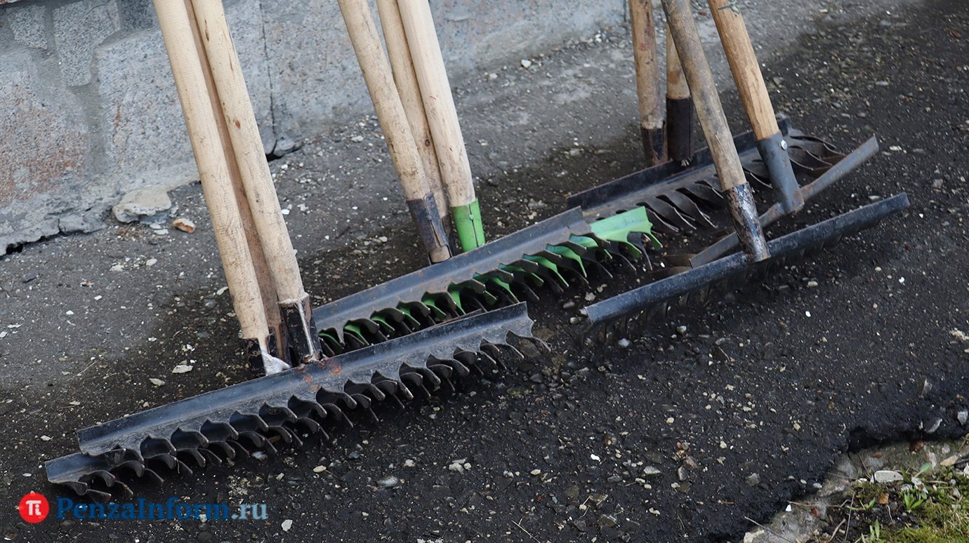 Пензенцы могут принять участие во всероссийском субботнике