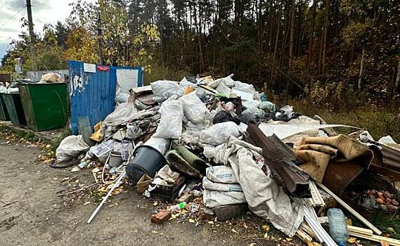 В Курской области председателей СНТ и гаражных кооперативов оштрафовали за мусор