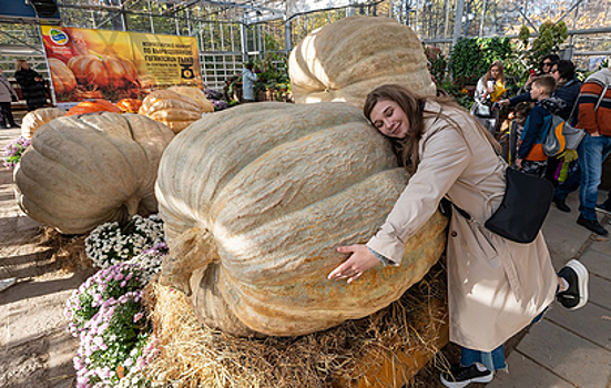 Необъятные тыквы, огромные кабачки и тяжеленные арбузы: в Москве показали овощи-гиганты