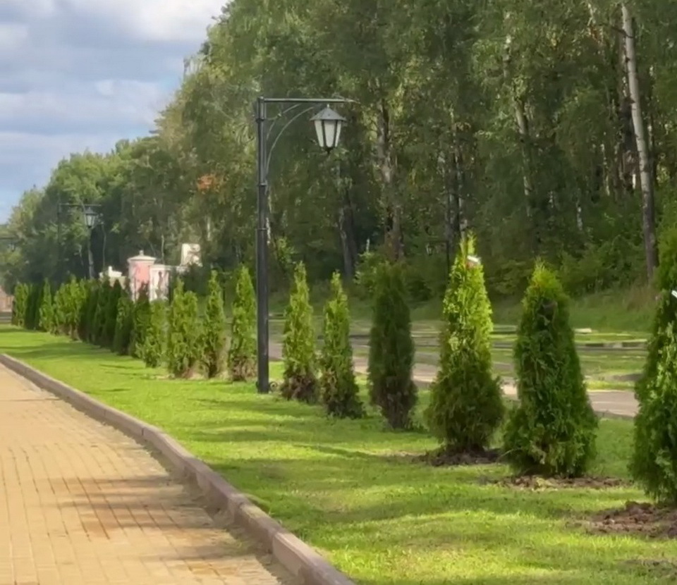 Калужские молдаване высадили туи на Правобережье