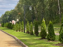 Калужские молдаване высадили туи на Правобережье