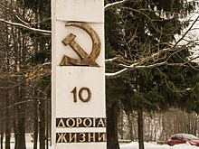 Водитель иномарки скончался после столкновения с фурой в Ленобласти