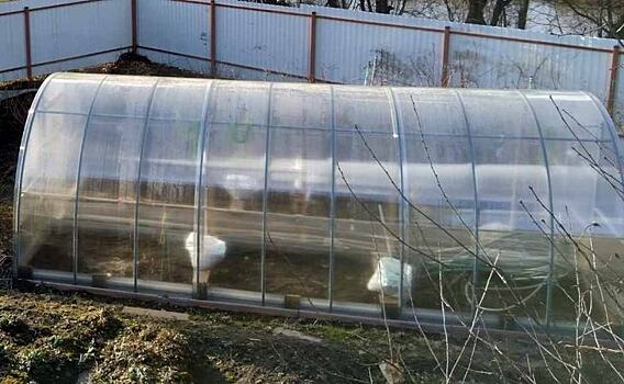 Подготовка теплицы к зиме: 5 советов от Владимирского филиала Россельхозцентра