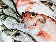 Россия резко нарастила вывоз рыбы и морепродуктов в одну страну