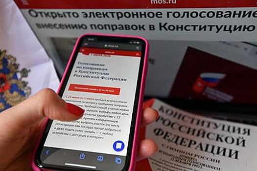 Больше 35 процентов интернет-пользователей проголосовали по поправкам