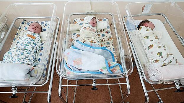 Дело о продаже младенцев в Москве пополнилось шестью детьми