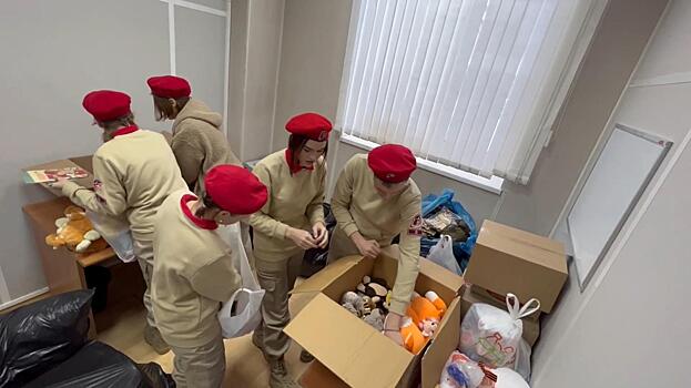 «Частичка сердца»: вологжане собрали порядка 1000 игрушек для детей Донбасса