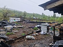 Очевидец рассказал о событиях в СНТ Байкальска после нападения подростка