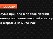Госдума приняла в первом чтении законопроект, повышающий в четыре раза штрафы на митингах