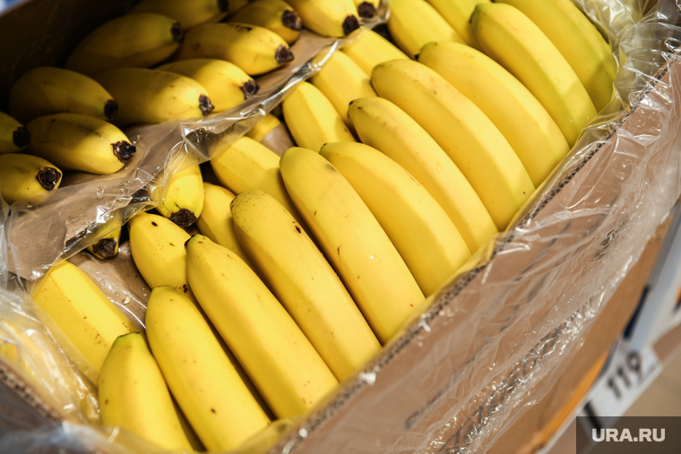 Эквадор усилил контроль за поставщиками бананов после запрета на ввоз в РФ