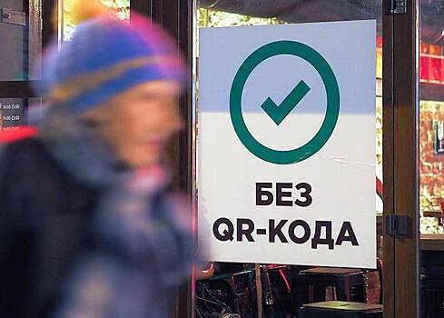 В Госдуме обсудят возможные ограничения в использовании QR-кодов