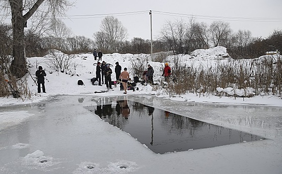 Блюдце раздора: моржам запретили купаться в озере на Горской