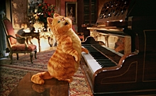 Про кота Гарфилда снимут серию мультфильмов