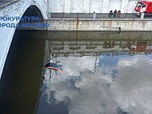 Каршеринг столкнулся с Lexus и упал в Яузу в Москве