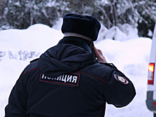 Что грозит задержанной блогерше Митрошиной: несколько лет с конфискацией