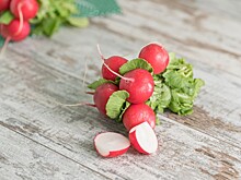 Как редис помогает защитить ДНК от разрушения