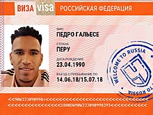 Вратарь Перу: нелепые голы, гол от судьи, скандалы и сейвы