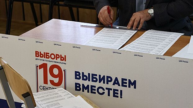 Иностранные наблюдатели оценили российские выборы