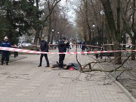 Дерево насмерть придавило девушку в центре Ростова-на-Дону