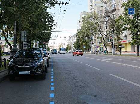 Синяя дорожная разметка появилась в Воронеже