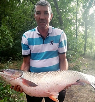 Рыбак выловил из тихого Дона огромного амура