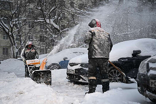 В Подмосковье с крупнейшим за полвека снегопадом борются 30 тыс. дворников