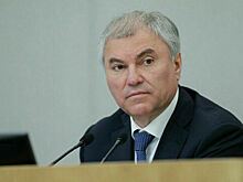 Володин переговорил с председателем Великого национального собрания Турции