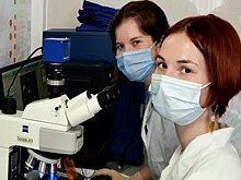 За практическими навыками в биотехнологии – в Вятский государственный университет!