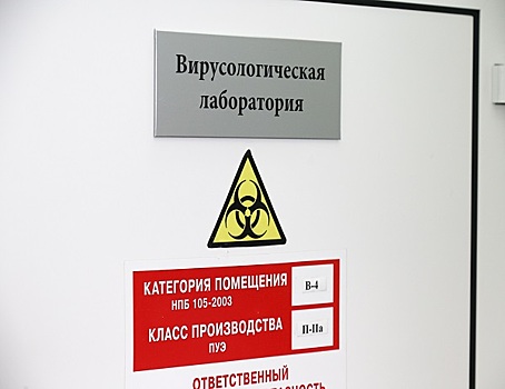В Удмуртии коронавирусом заразилась глава регионального министерства