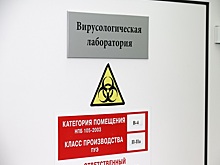 В Удмуртии коронавирусом заразилась глава регионального министерства