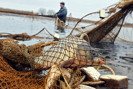 Челябинские рыбаки испугались разрешения на лов рыбы сетями