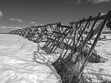 Засуха и урожай: кто виноват и что делать