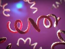 В России произошел всплеск заболевания сифилисом