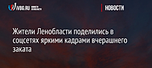 Жители Ленобласти поделились в соцсетях яркими кадрами вчерашнего заката