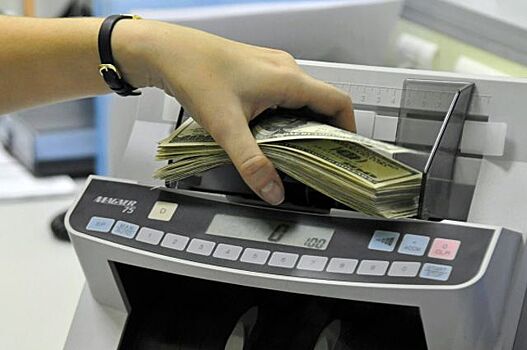 В Госдуму внесены поправки о валютной зарплате для россиян