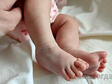 Более 300 многодетных семей получили областной материнский капитал в этом году