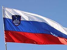 Российские инспекторы посетят военный объект в Словении