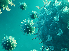 В Петербурге за неделю на 10% возросло число заболевших COVID-19