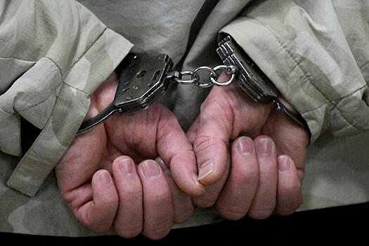 Под Новосибирском мигрант попытался изнасиловать 17-летнюю девушку в своей машине