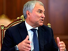 Володин заразился коронавирусом и отменил визит в Индию