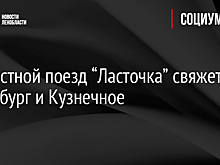 Скоростной поезд “Ласточка” свяжет Петербург и Кузнечное
