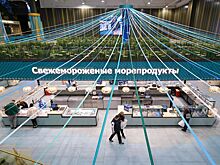 «Активные граждане» выберут лучший вид морепродуктов для шашлыка