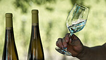 Ограничение госзакупок импортных вин назрело давно, заявил эксперт