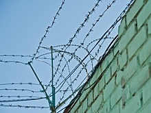 Волжанка проведет 4 года в колонии за обман клиентов под видом эзотерических услуг