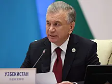 Президент Узбекистана отреагировал на попытку ВСУ атаковать резиденцию Путина