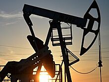 "Роснефть" нашла масштабное месторождение нефти